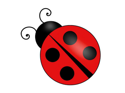 Coccinella