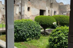 Visita a Pompei 3 classe quinta